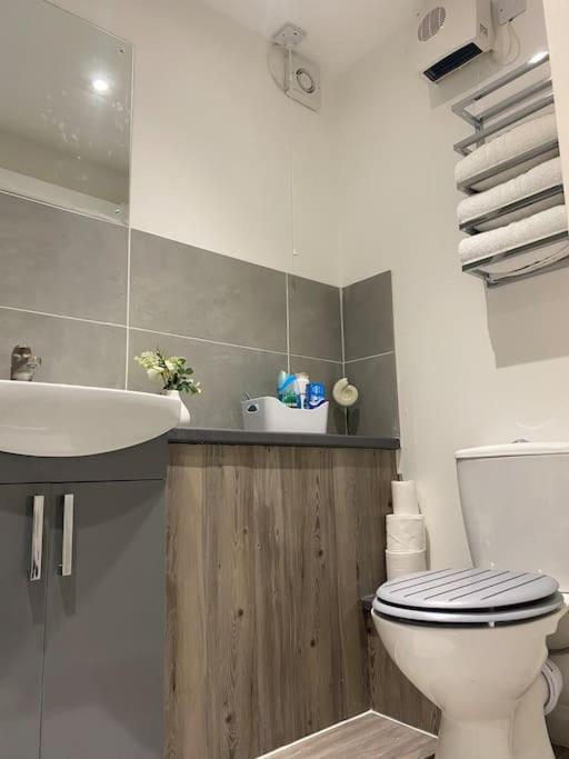 Cosy Studio Apartment Вотерлувілл Екстер'єр фото