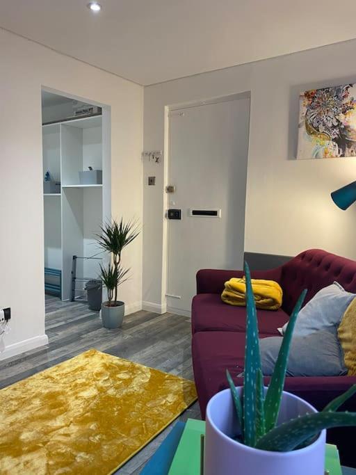 Cosy Studio Apartment Вотерлувілл Екстер'єр фото