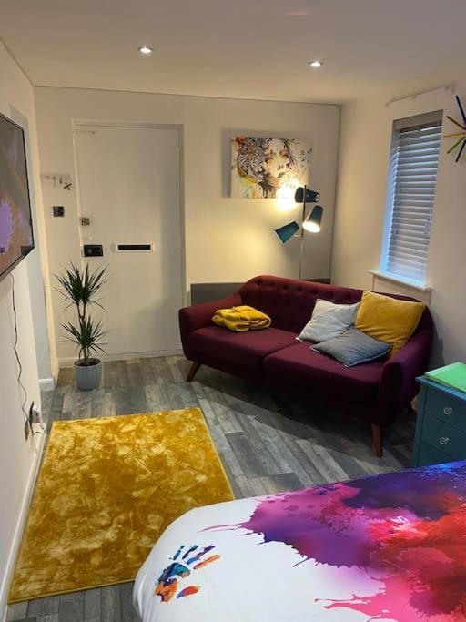 Cosy Studio Apartment Вотерлувілл Екстер'єр фото