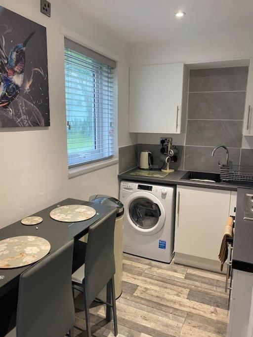 Cosy Studio Apartment Вотерлувілл Екстер'єр фото